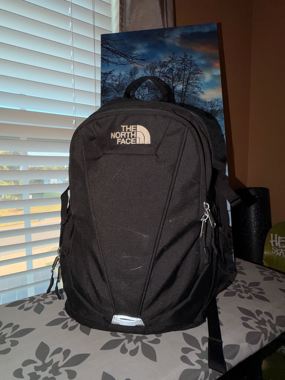 The North Face Vault Backpack Classic Travel Bag